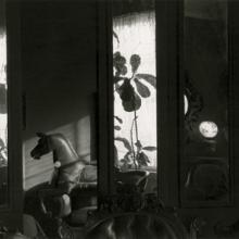 Shadowed Interior, Sausalito, California  