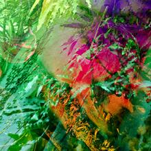 Heterotopia No.74  2017