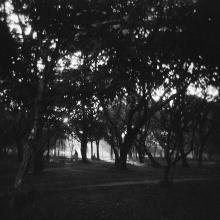 Yoga in Cubbon Park, from Memories of India  2005