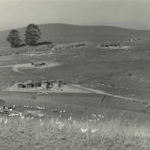 Russell Lee: The Honest Camera