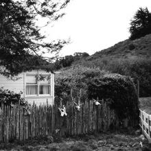 Annie’s Picket Fence, Point Reyes, California  2006  Art Rogers (b. 1948) gelatin-silver print Courtesy of the artist L2014.2101.010