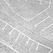 Parkway (California City, California)  2017