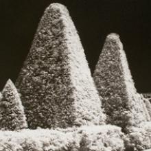 Hope Kahn: Geometry In Nature