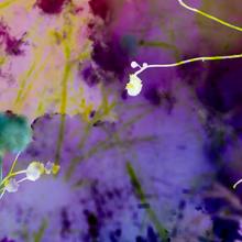 Heterotopia No.90  2017