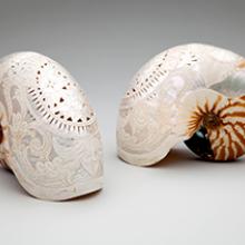 Carved nautilus shells 