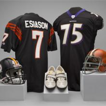 A selection of material representing the AFC North Division of the National Football League