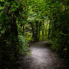 Teufelsberg, Berlin 2009