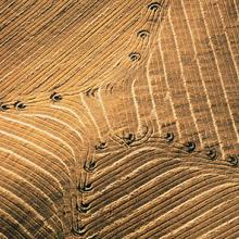 After Combine Harvest, Montezuma Hills, California  1964