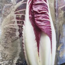 Over Other  2014 Olivia Parker (b. 1941)