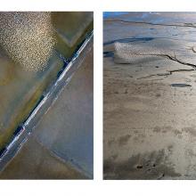 Swarms, Salt Ponds E13, Mt. Eden Creek Mudflat, Hayward, California  