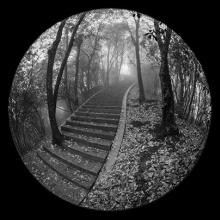 Morning Fog, Zhangjiajie, China  2013