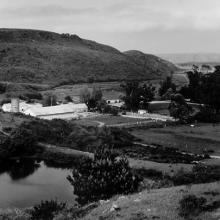 Ranch View with Baby Bishop Pine, Murphy Ranch, Point Reyes, California  2006 Art Rogers (b. 1948) gelatin-silver print Courtesy of the artist L2014.2101.011