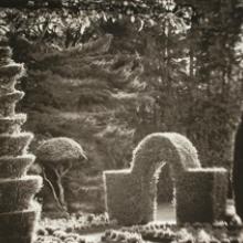 Hope Kahn: Geometry In Nature