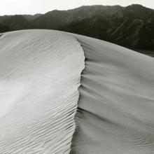 Dune, Marin County, California  