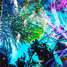 Heterotopia No.24  2014