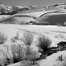 North of Devil’s Gate, Mono Lake, California