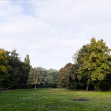 Kleiner Bunkerberg, Berlin 2008