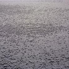 Ivanhoe Reservoir, Los Angeles, California  2015