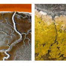 Verge, Salt Ponds P5, E12, Menlo Park and Hayward, California