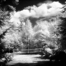 Antonioni’s Dream  1996