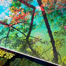 Heterotopia No.52  2015