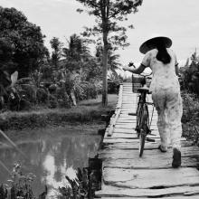 Woman on Bridge, Mekong Delta, Vietnam