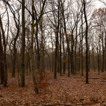 Rixdorfer Höhe, Berlin 2008