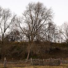 Oderbruchkippe, Berlin 2008