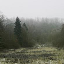 Volkspark Wuhlheide, Berlin 2008