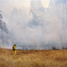 Lake County Fire, California  2015