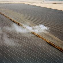 Agriculture fields near San Joaquin River, Central Valley, California  2015