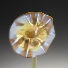 A Radiant Light: The Artistry of Louis C. Tiffany | SFO Museum