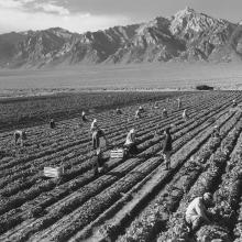 Farm workers with Mt. Williamson in background  1943
