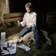 Oliver nursing a sheep, Ardèche, France  2010