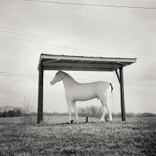 Horse Shelter, Chambersburg, Pennsylvania  2006/2011