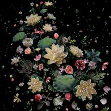 Hong Kong Soup:1826, Lotus Garden  2011