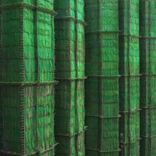 Green Cocoon Walls, Hong Kong  2010