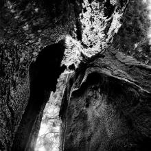 Giant Forest, Sequoia National Park, California 2013/15