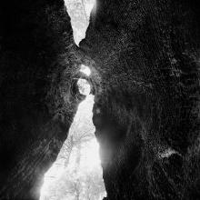 Prairie Creek Redwoods State Park, California  2013/15