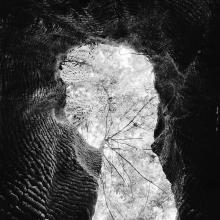 Wells, California 2013/15