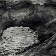 Granary, Canyonlands National Park, Utah  2014