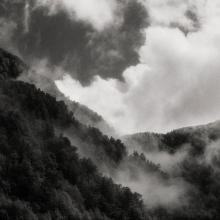 Hawks Grag, New Zealand  2016