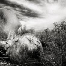 Rocks and Grasses, Western Australia  2016