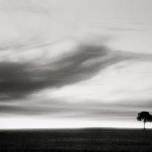 Lone Tree, Western Australia  2016