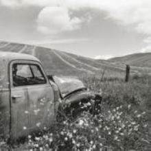 Untitled, from the series Back to the Ranch, Northern Livermore Country, Alameda County, California  1994