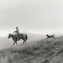 Untitled, from the series Back to the Ranch, Cull Canyon, Alameda County, California  1992  Matthew James O'Brien digital print Courtesy of the artist R2013.3401.002
