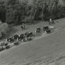 Untitled, from the series Back to the Ranch, Dublin Canyon, Alameda County, California  1991 Matthew James O'Brien digital print Courtesy of the artist R2013.3401.003