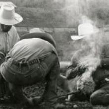 Untitled, from the series Back to the Ranch, Cull Canyon, Alameda County, California  1993 Matthew James O'Brien digital print Courtesy of the artist R2013.3401.012