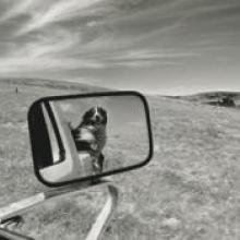 Untitled, from the series Back to the Ranch, Carquinez Straits, Contra Costa County, California  1994 Matthew James O'Brien digital print Courtesy of the artist R2013.3401.011