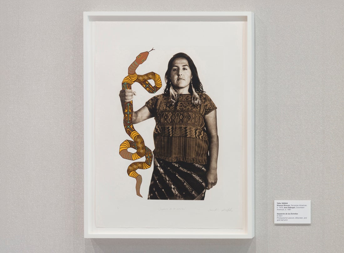 Taller SANAA (Shanna Strauss & Jess Sabogal), Serpiente de las Estrellas 